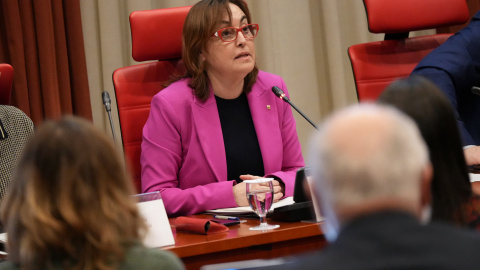 La consellera de Territori, Sílvia Paneque, durant la compareixença en comissió al Parlament La consellera de Territori, Sílvia Paneque, durant la compareixença en comissió al Parlament
